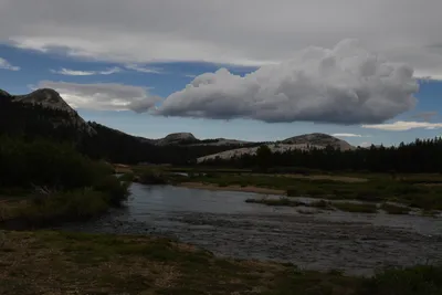 DSC_4432 (Large).JPG